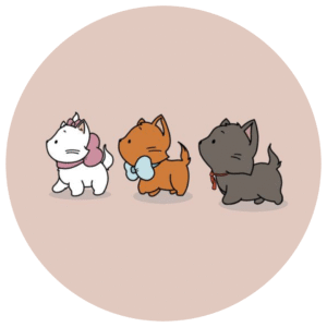 aritogatos: Obleas Comestibles Inspiradas en gatitos